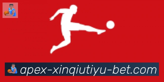 新球体育合作伙伴